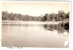 Photo of the lake at Lakeview, community built by the D, H&G Timber Company.