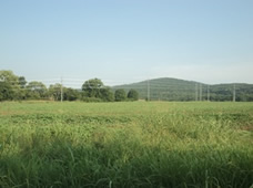 Photo of old Slagtown taken from Slagtown Road in Cowan.
